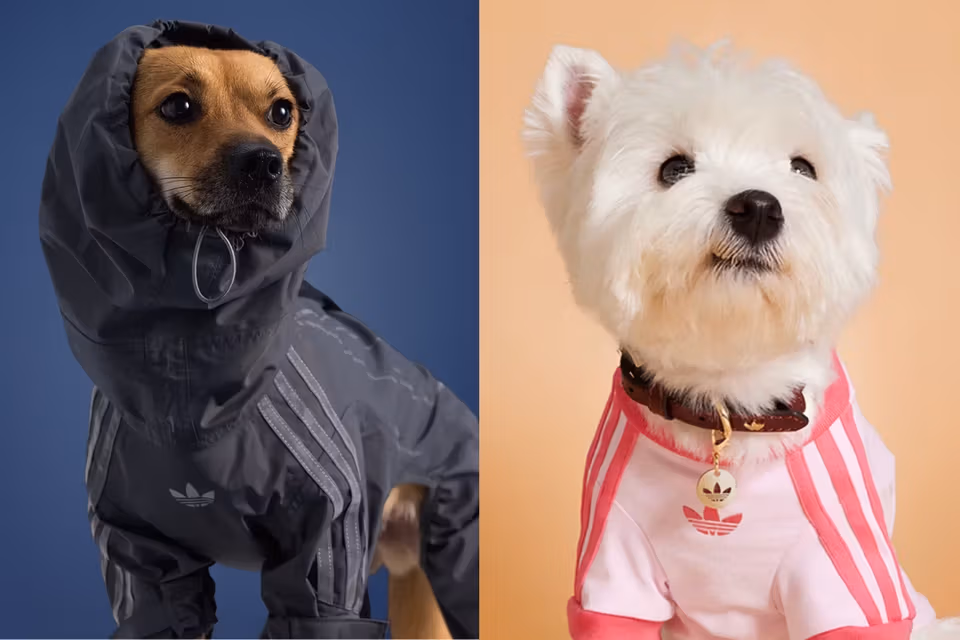 Marka Pazarlamasında Sevimli Dostlar İlk Sırada!